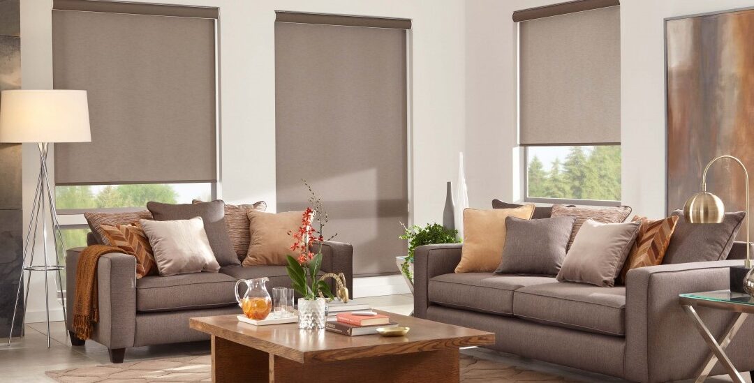 Roller Shades provide style and function