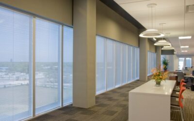 Commercial Window Shades for Your Business