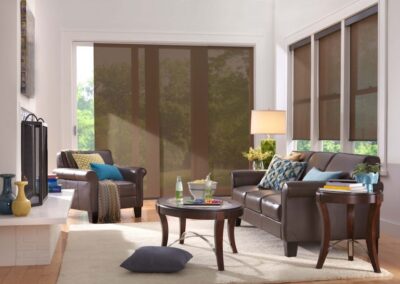 Solar panel track and shades