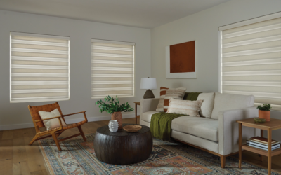 Choosing Filtering Shades for Northern Virginia Homes